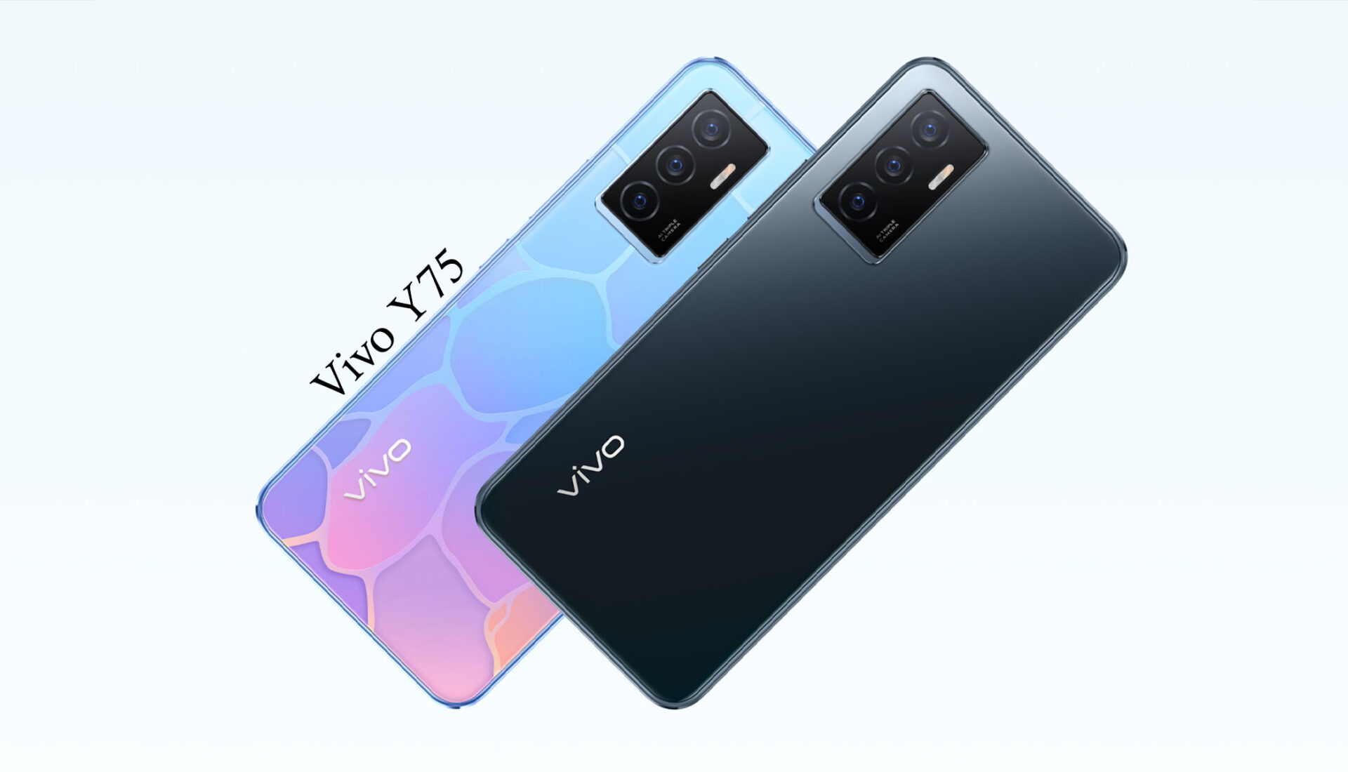 Vivo Y Price In Nepal Specifications Features Availability